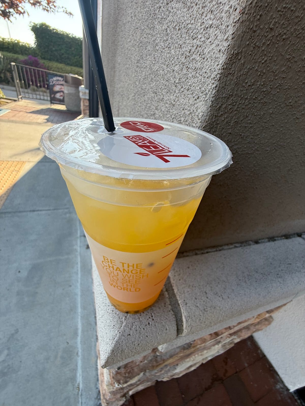 7 Leaves Cafe