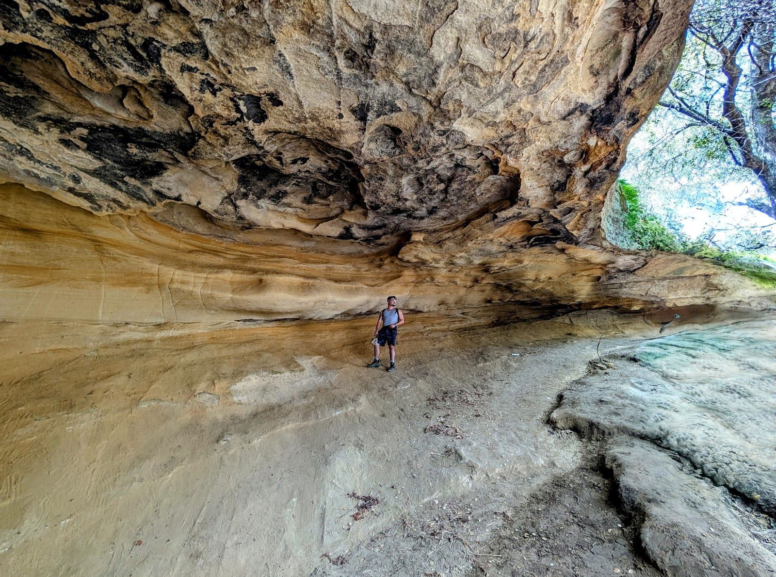 Aliso & Wood Canyons Wilderness Park