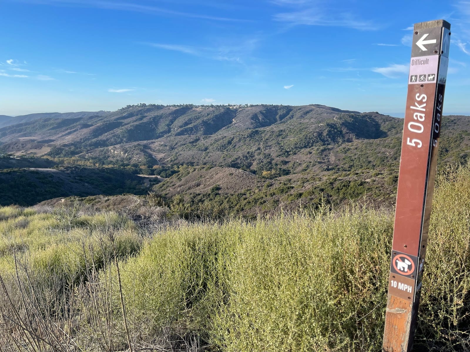 Aliso & Wood Canyons Wilderness Park