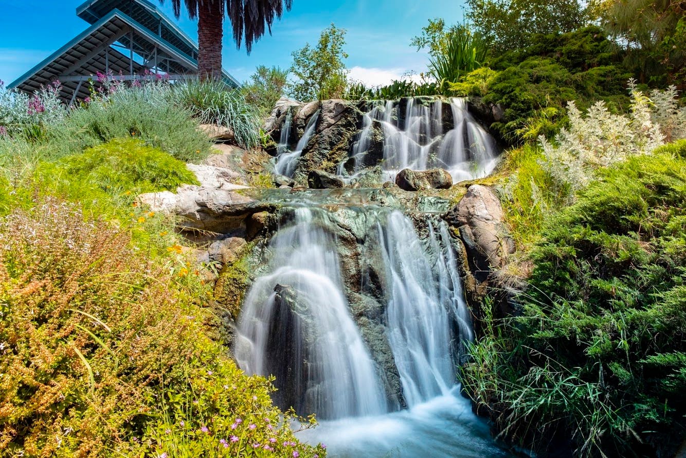 Arboretum and Botanical Garden at Cal State Fullerton