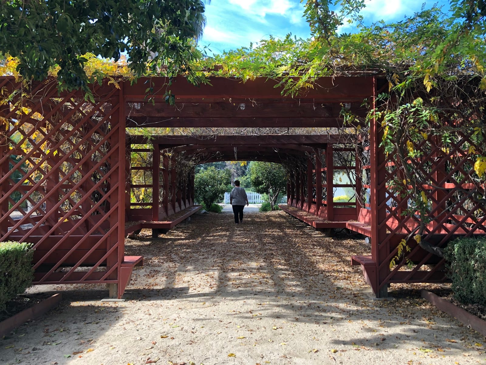 Arboretum and Botanical Garden at Cal State Fullerton