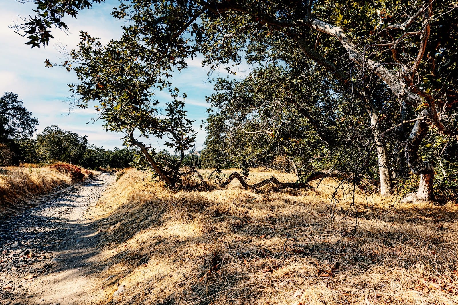 Arroyo Trabuco Trail