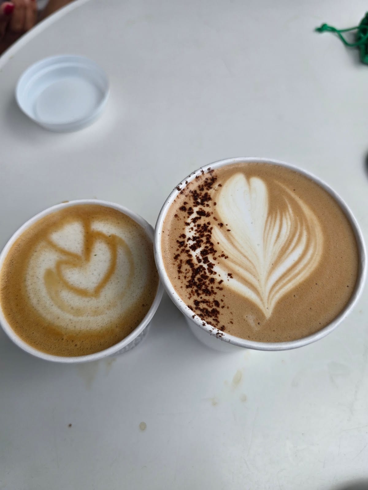 Bear Coast Coffee