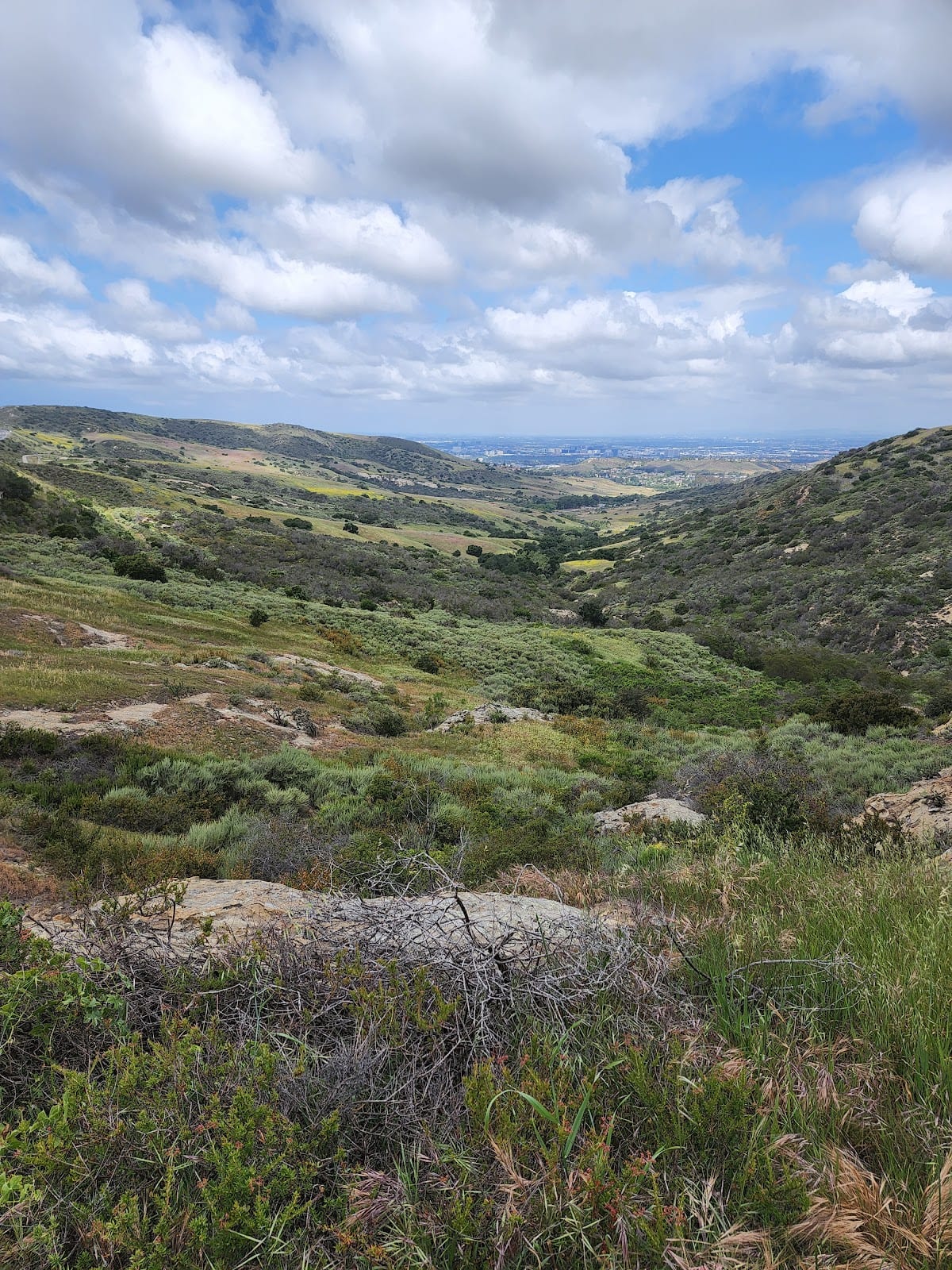 Bommer Canyon