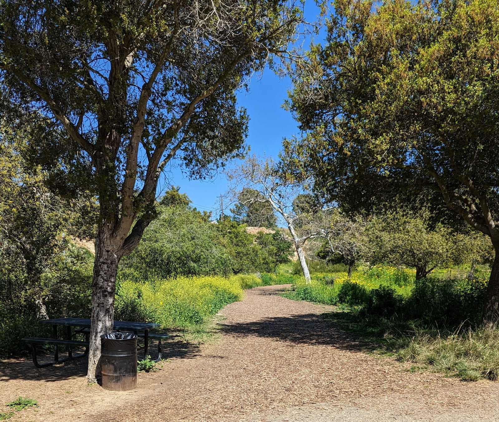 Canyon Park