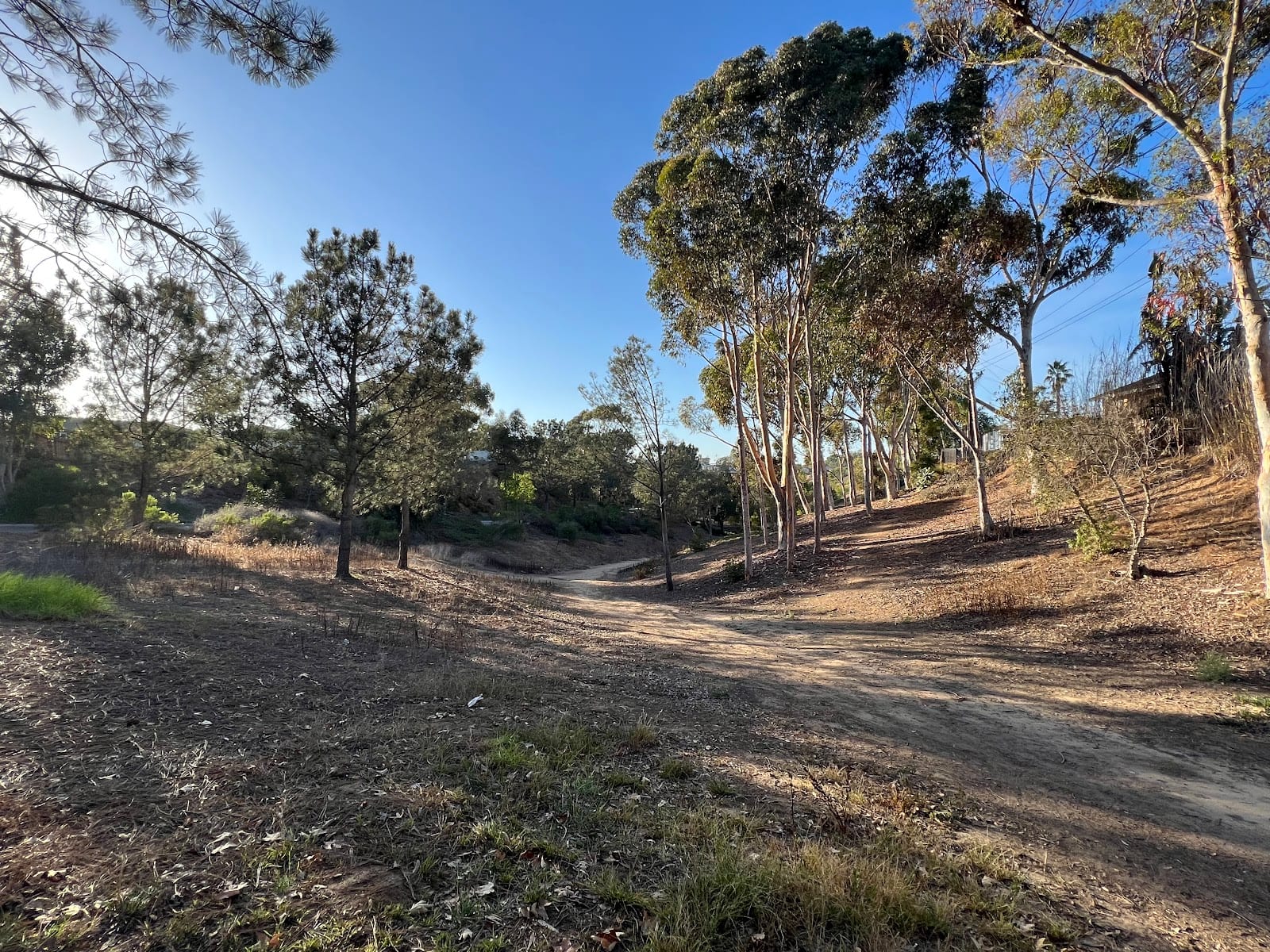 Canyon Park