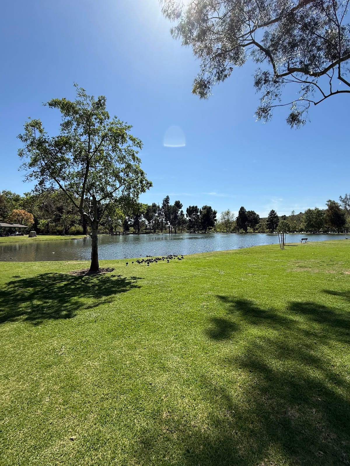Carbon Canyon Regional Park