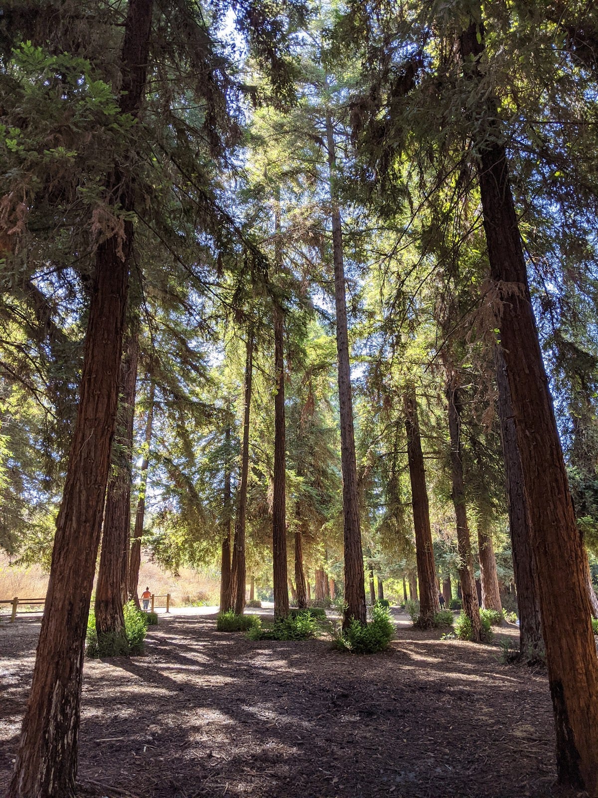 Carbon Canyon Regional Park
