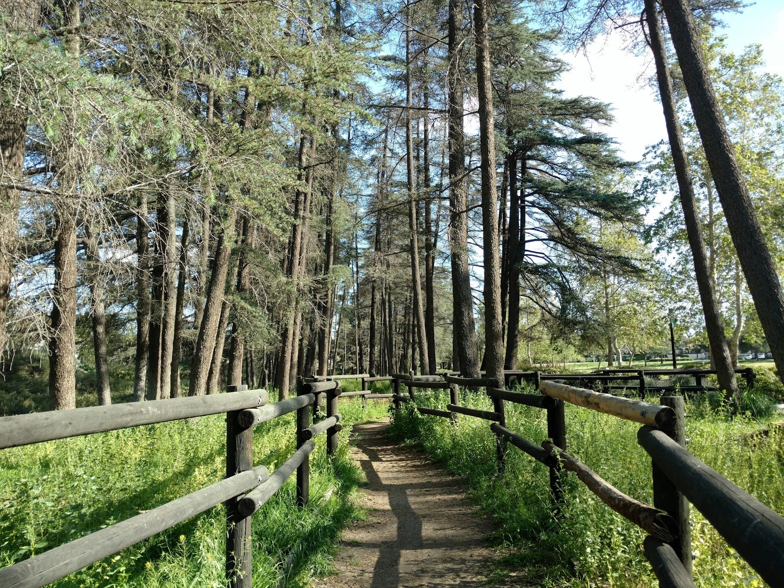 Cedar Grove Park