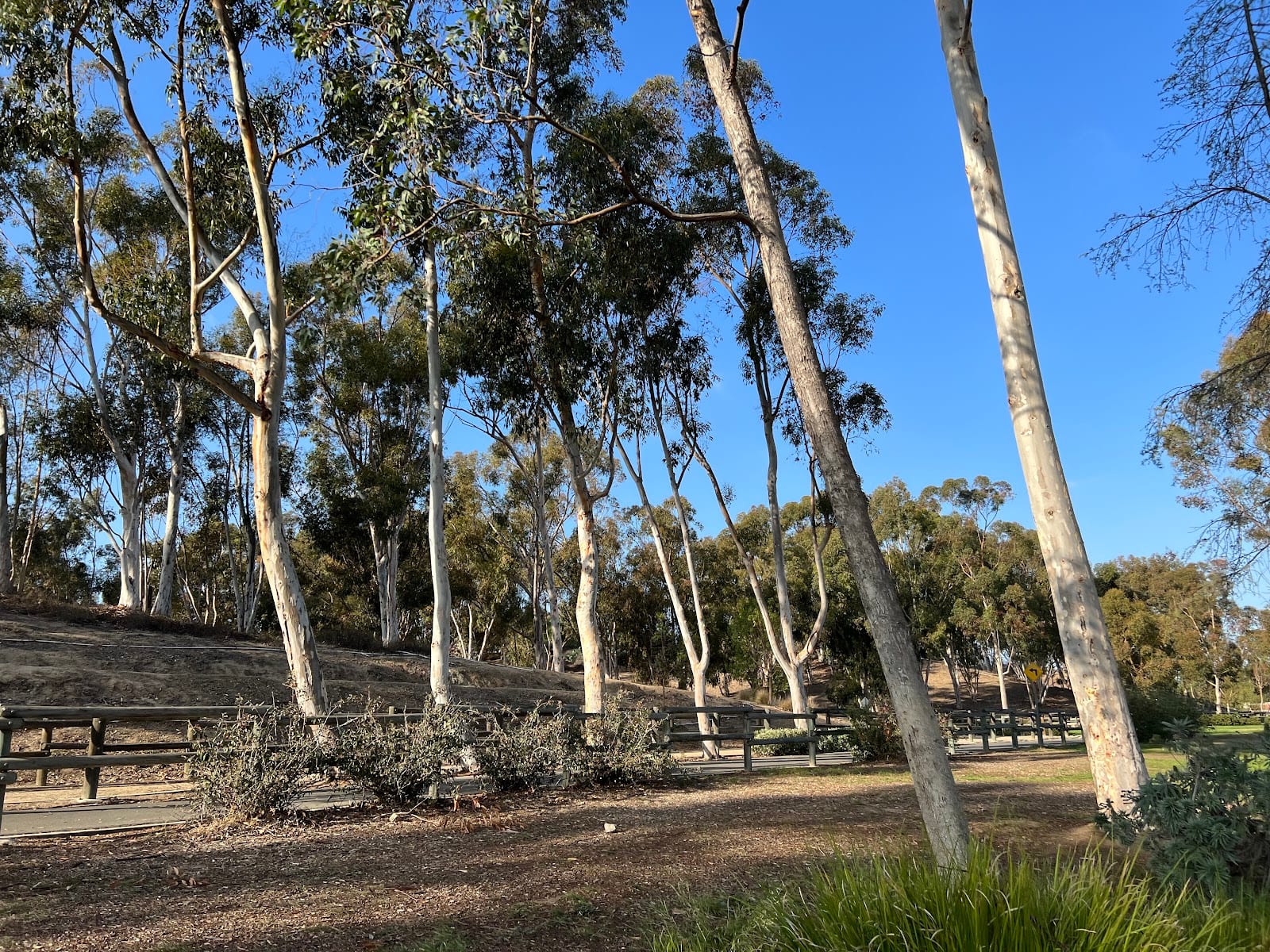 Cedar Grove Park