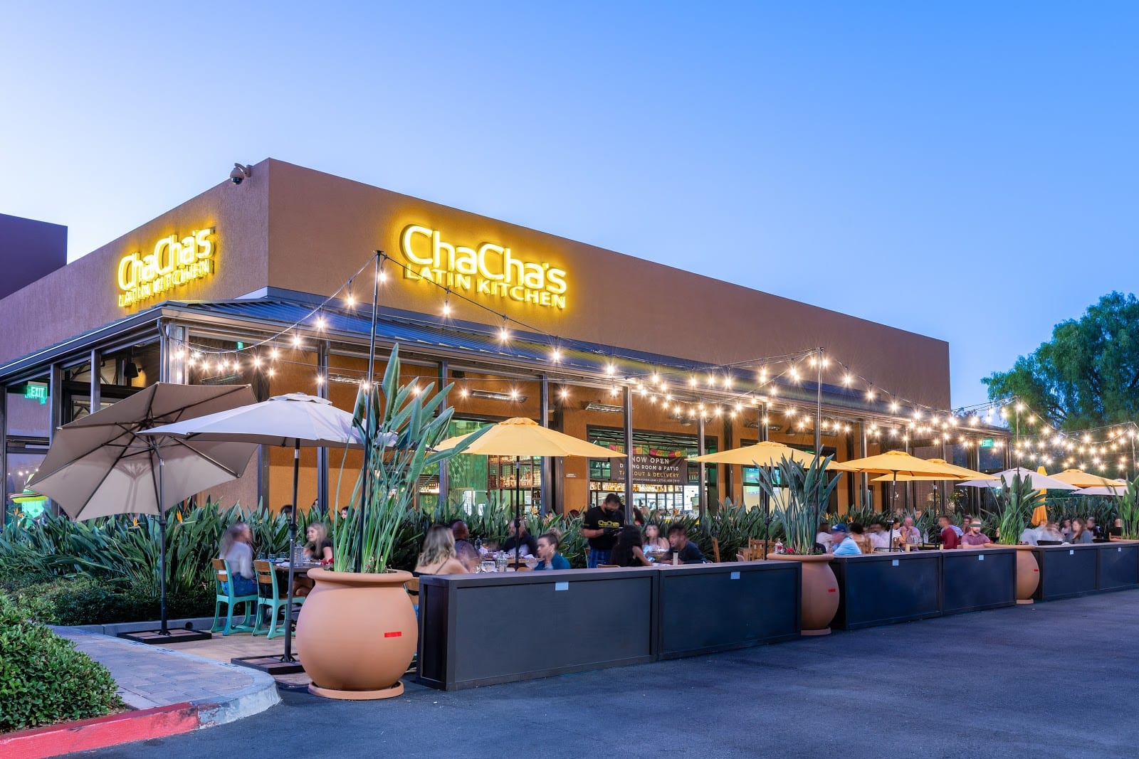 Cha Cha's Latin Kitchen