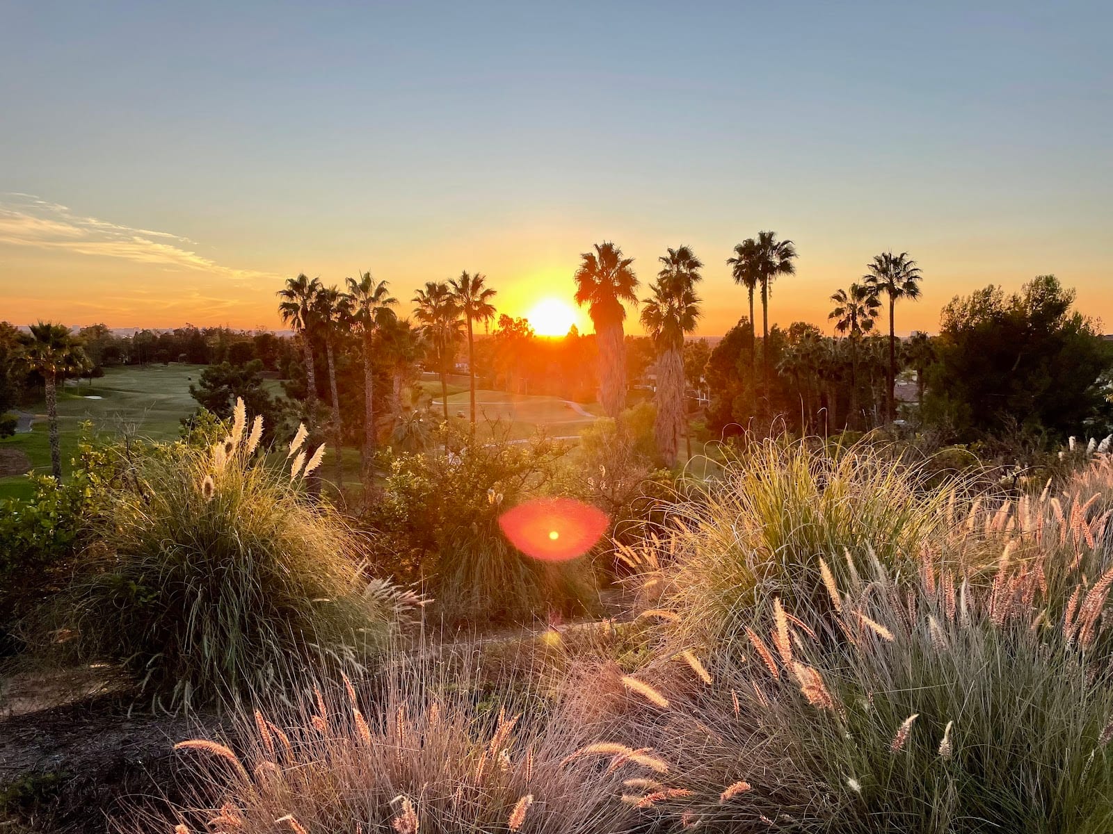 Citrus Ranch Park