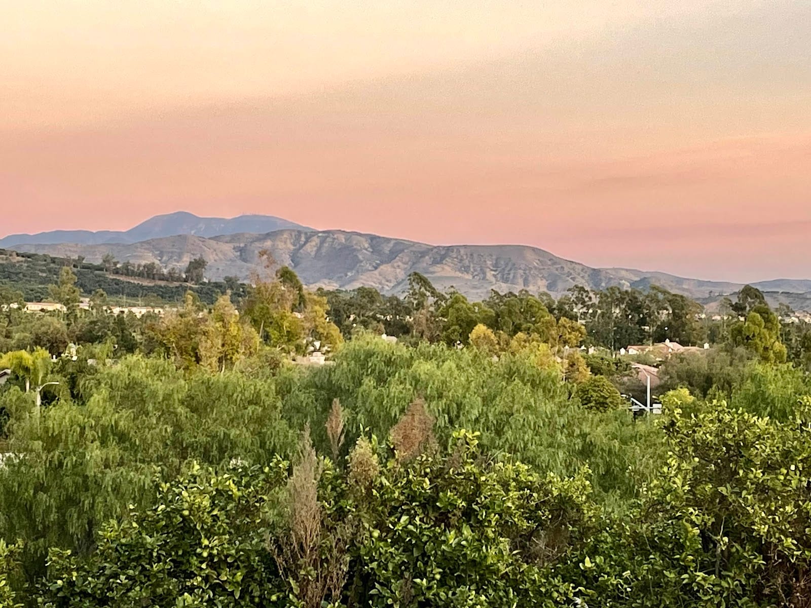 Citrus Ranch Park