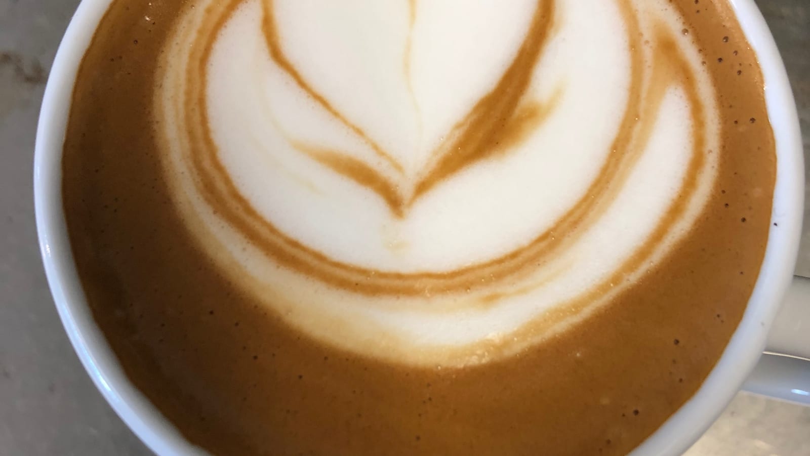 Coffee Importers