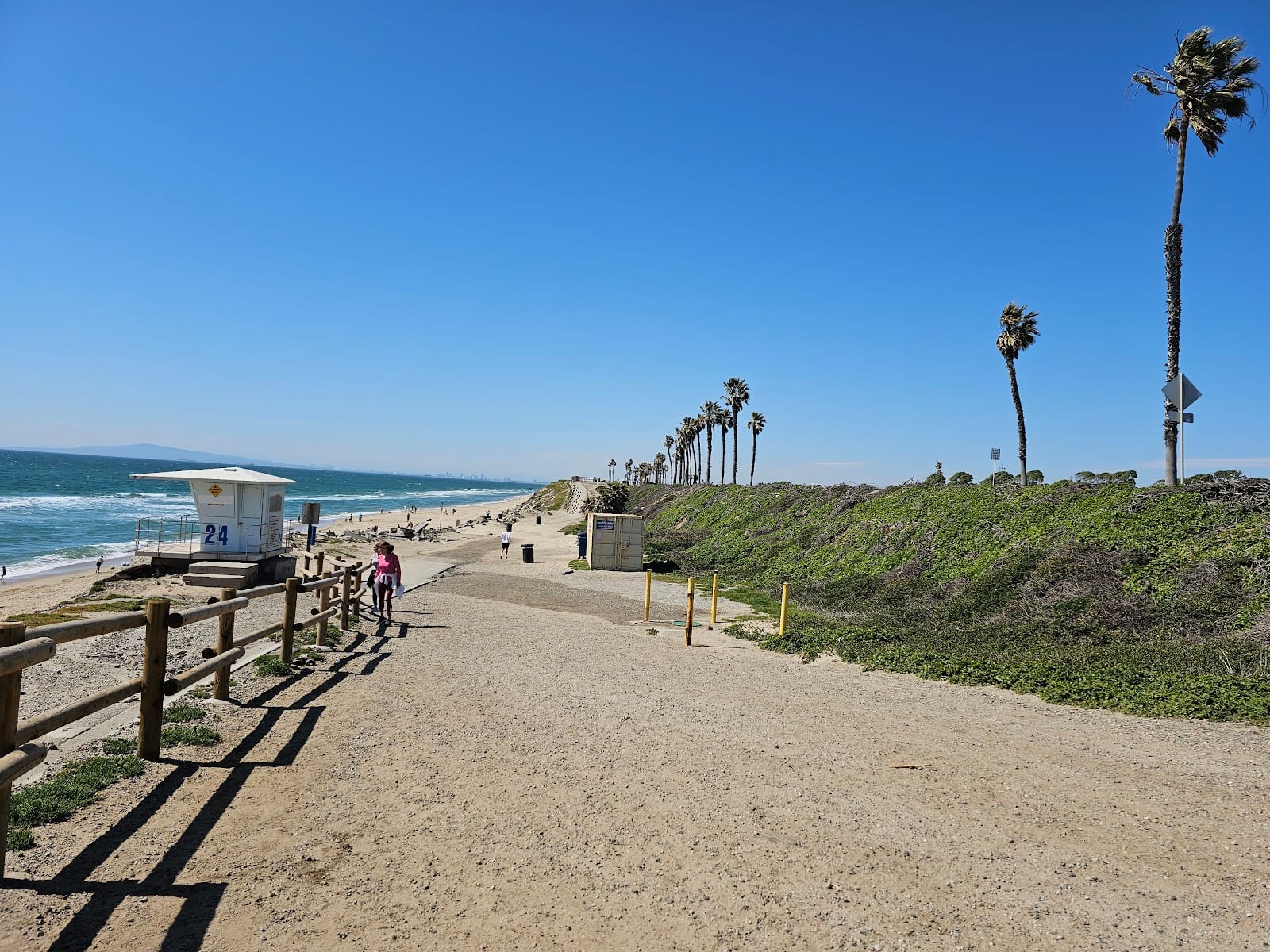 Dog Beach