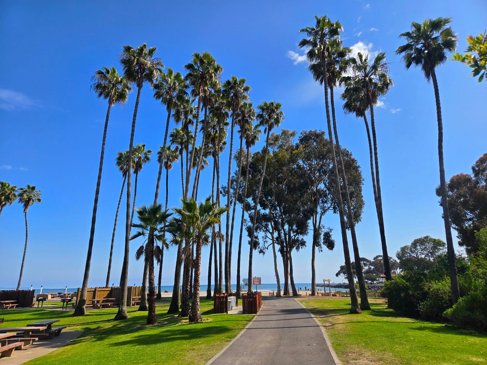 Doheny State Beach