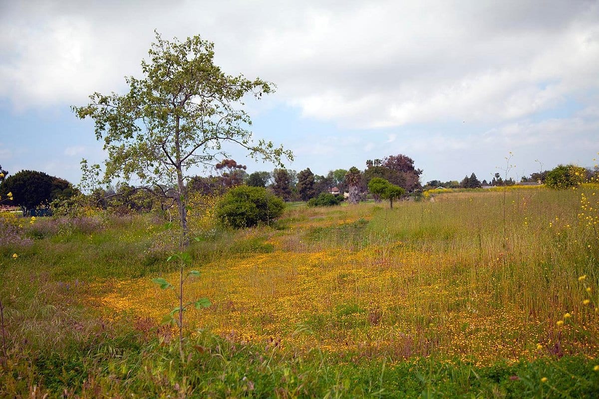 Fairview Park
