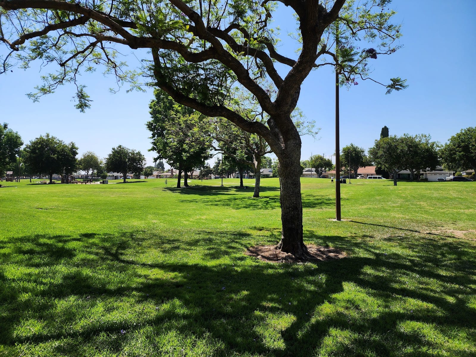 Frontier Park