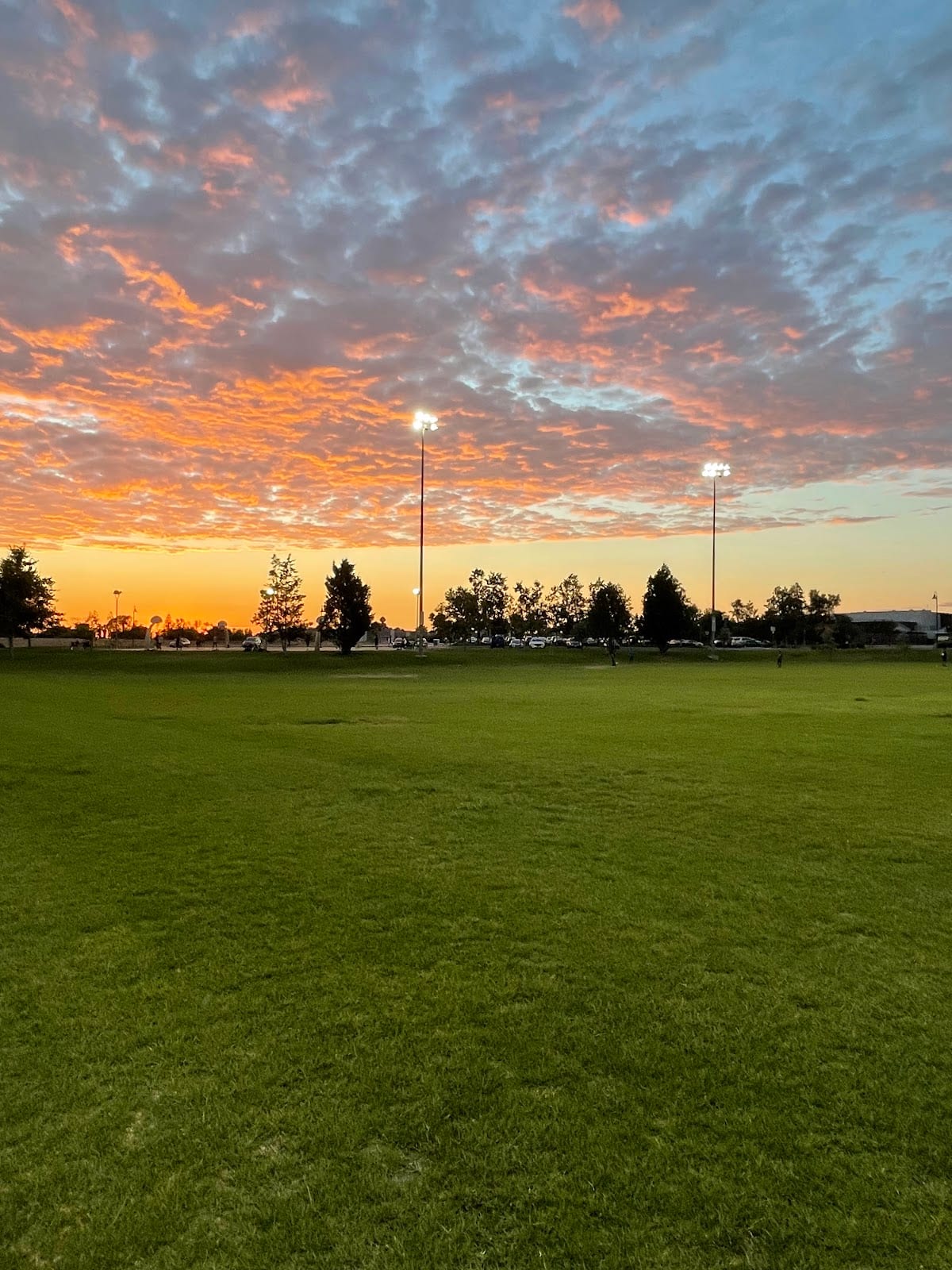 Grijalva Park