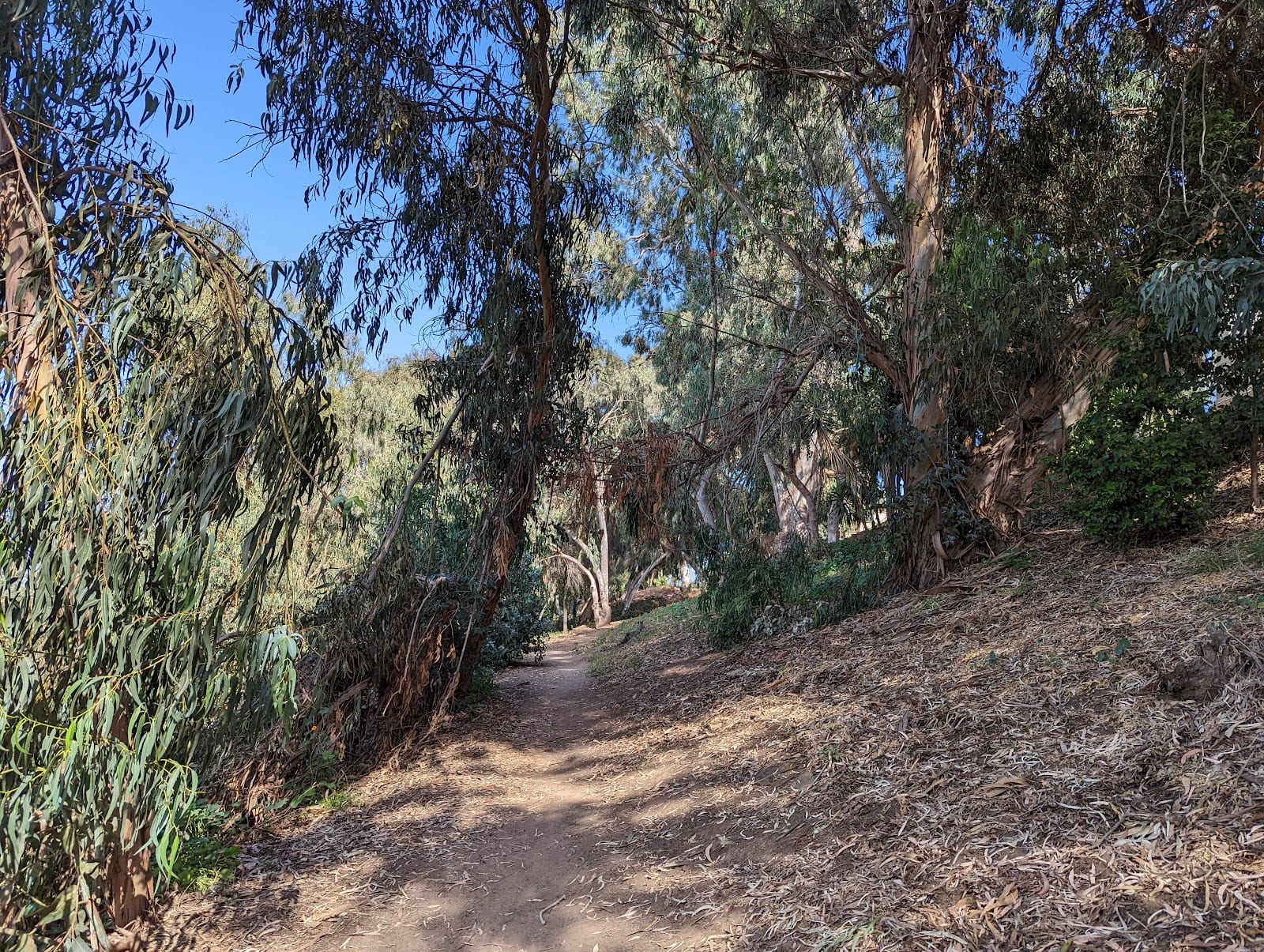 Gum Grove Park