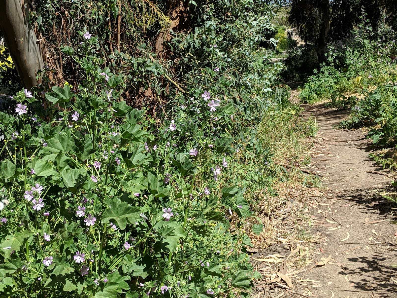Gum Grove Park
