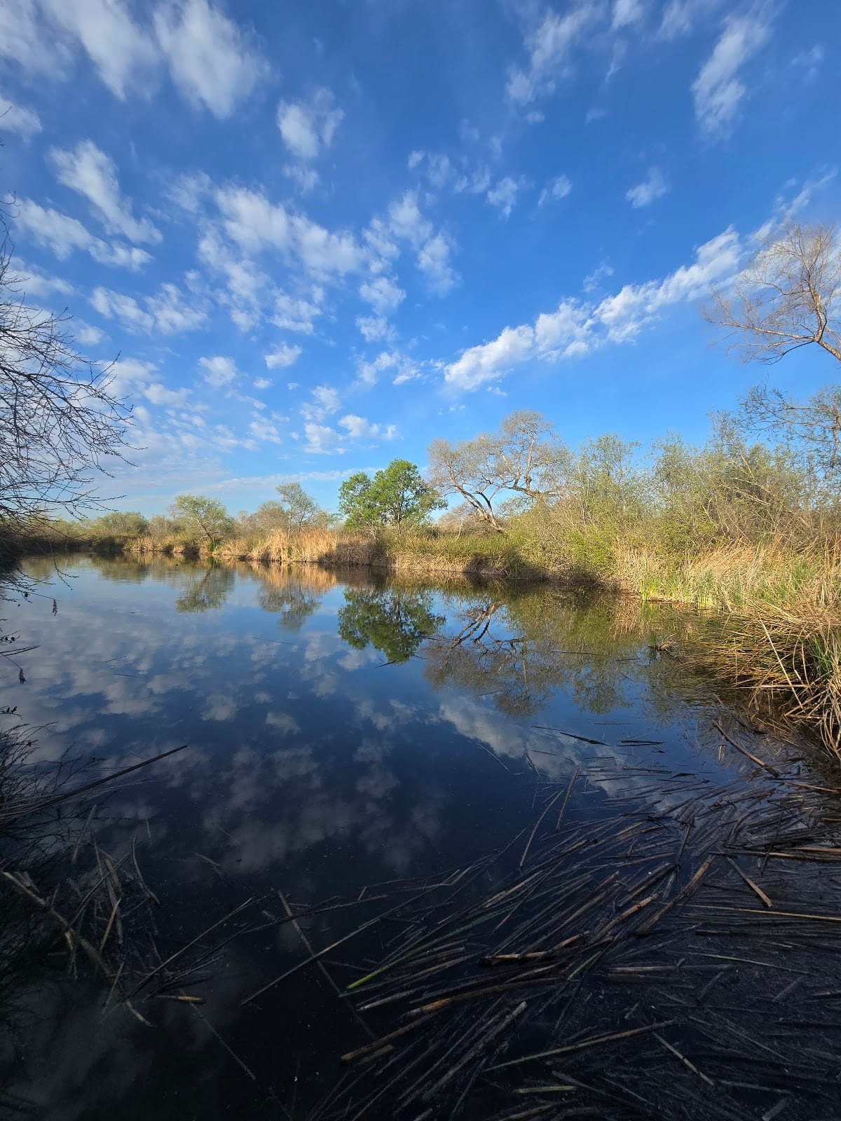 IRWD San Joaquin Marsh & Wildlife Sanctuary