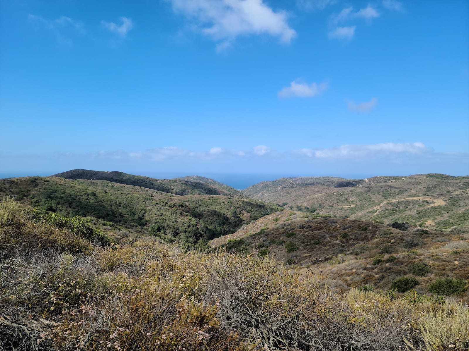 Laguna Coast Wilderness Park