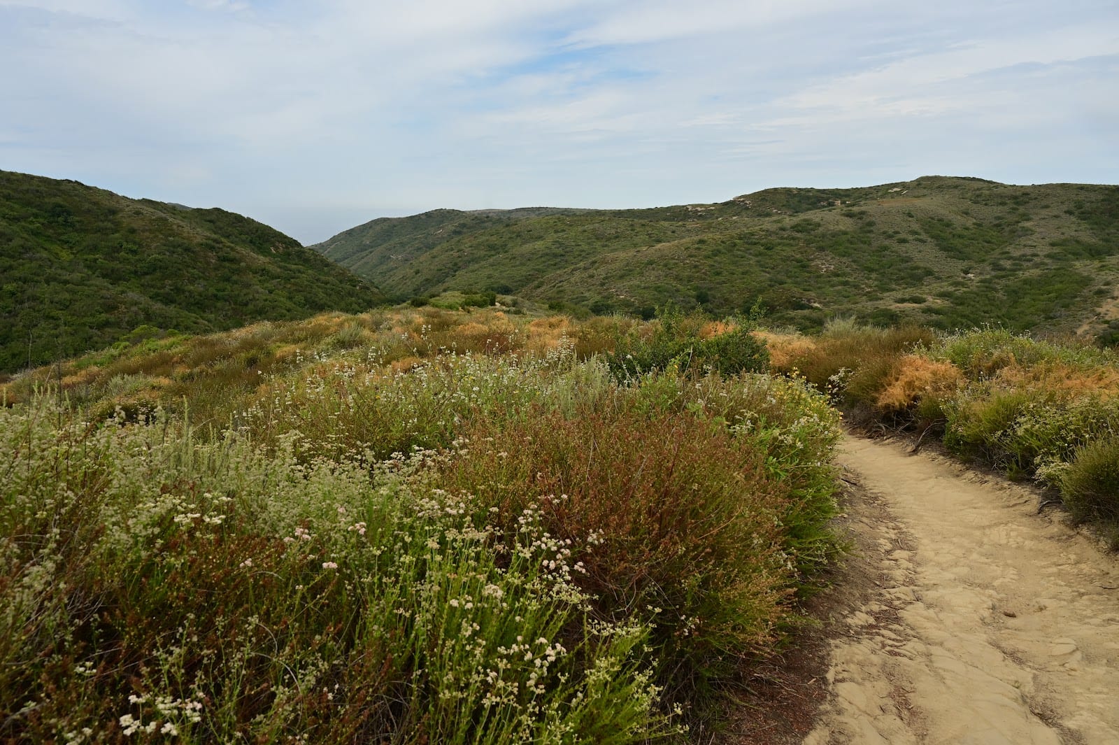 Laguna Coast Wilderness Park