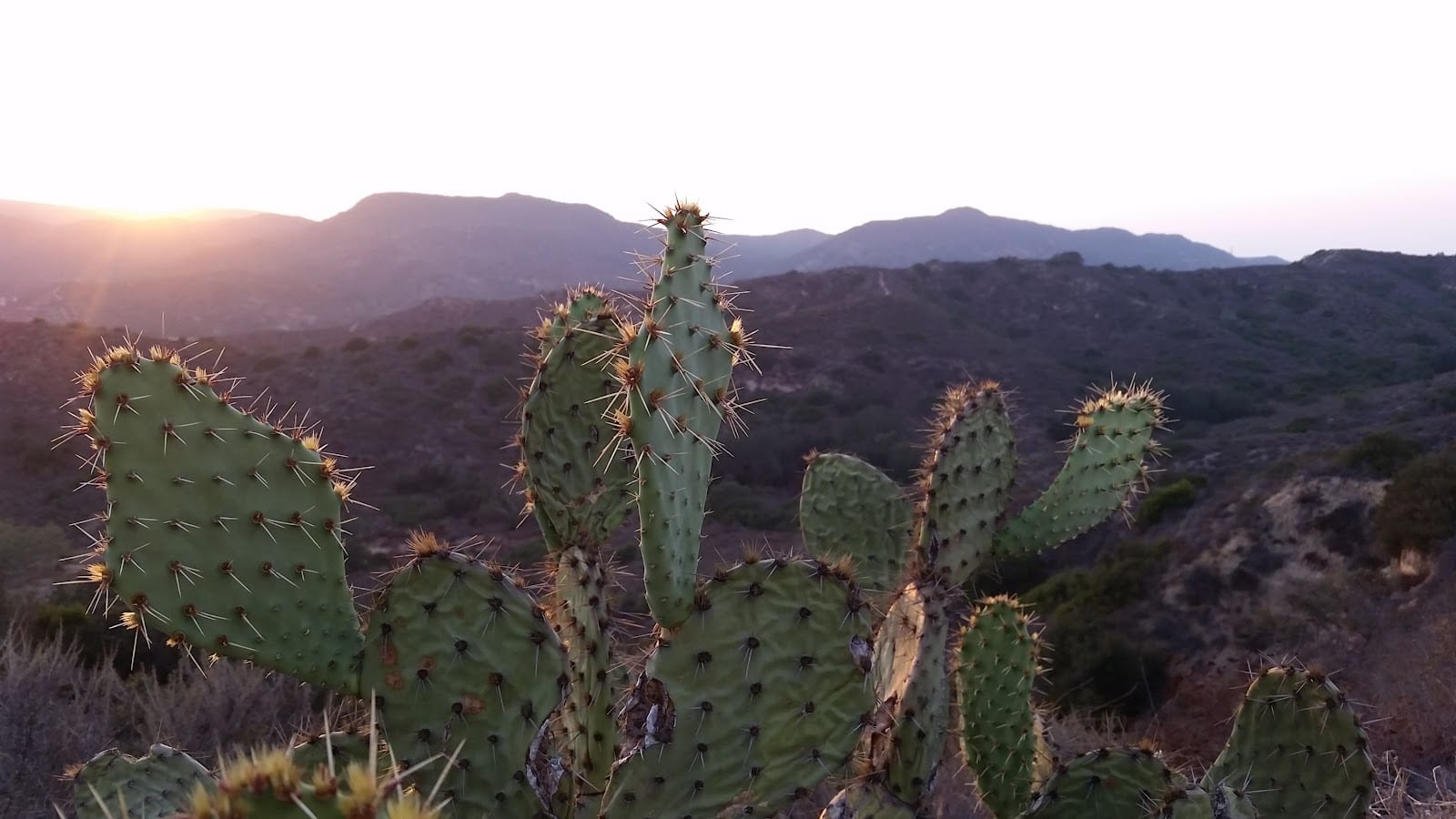 Laguna Coast Wilderness Park