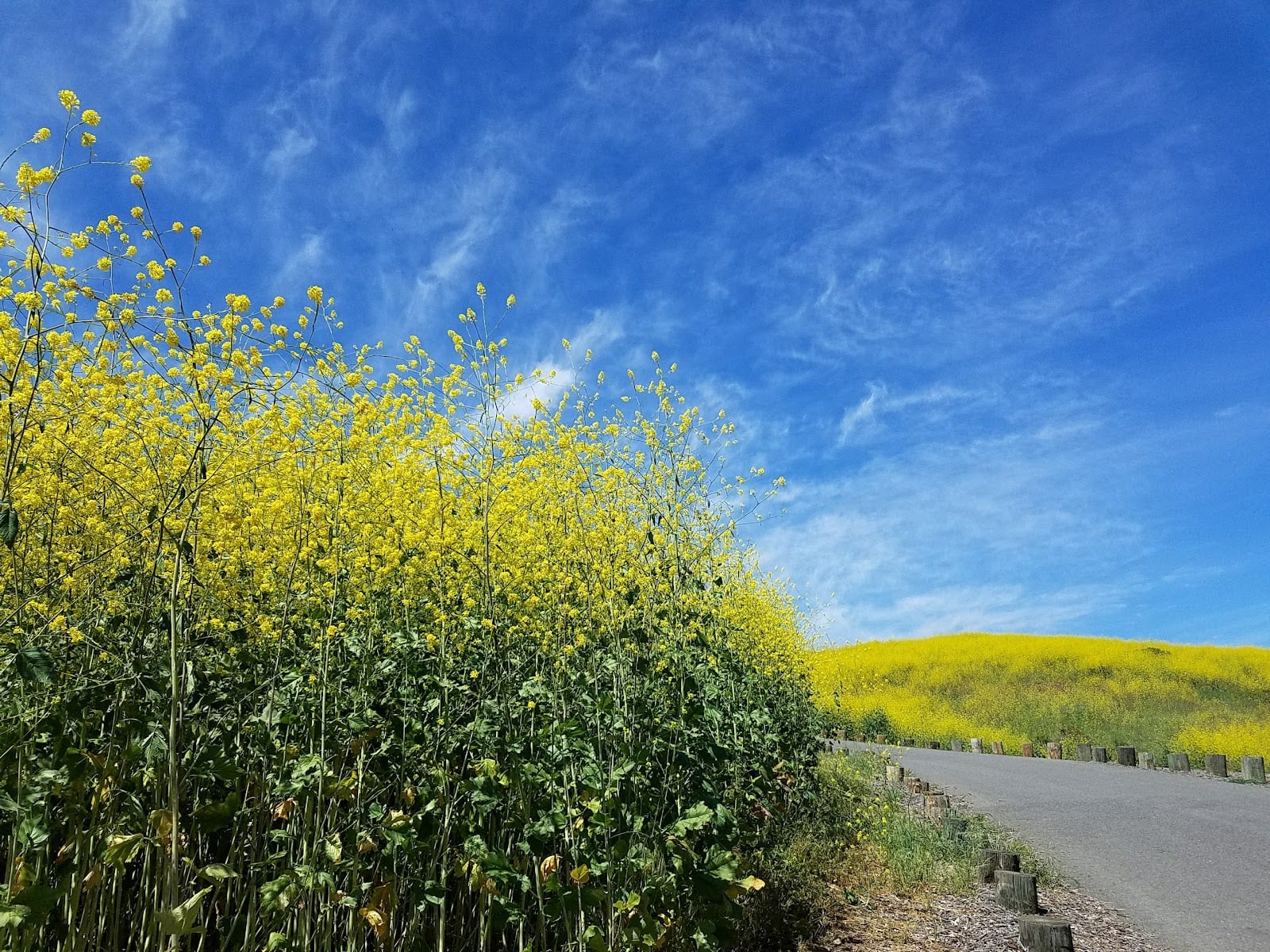 Laguna Niguel Regional Park