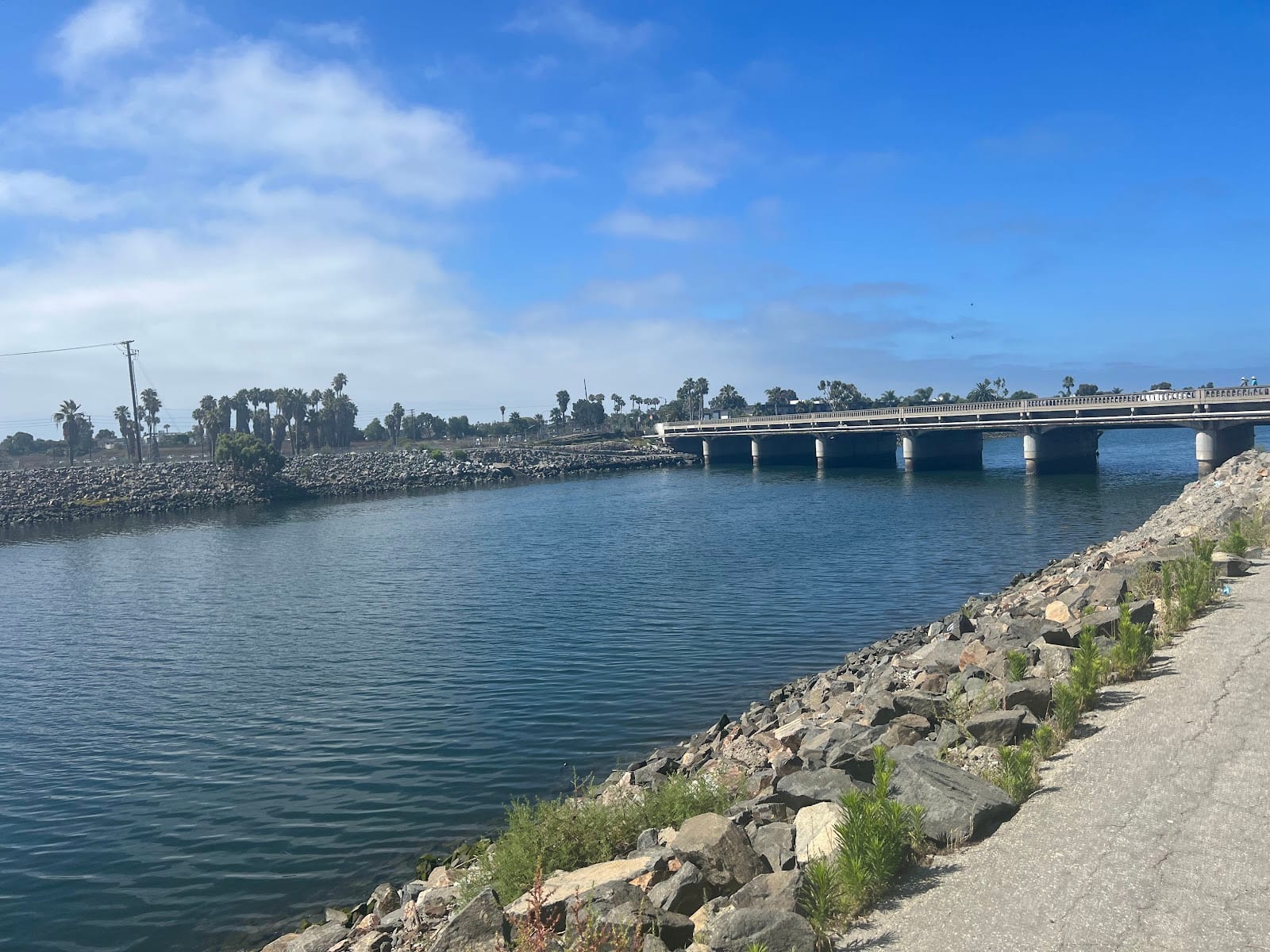 Los Cerritos Wetlands