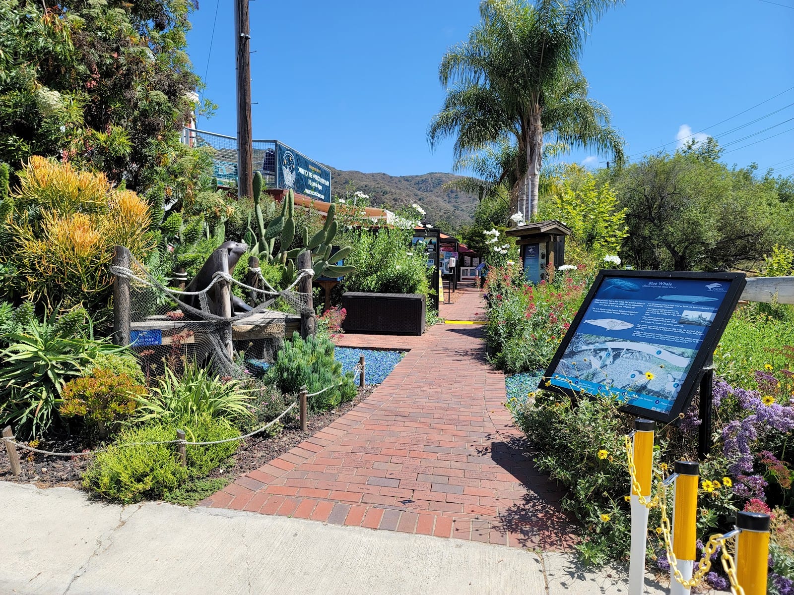Pacific Marine Mammal Center