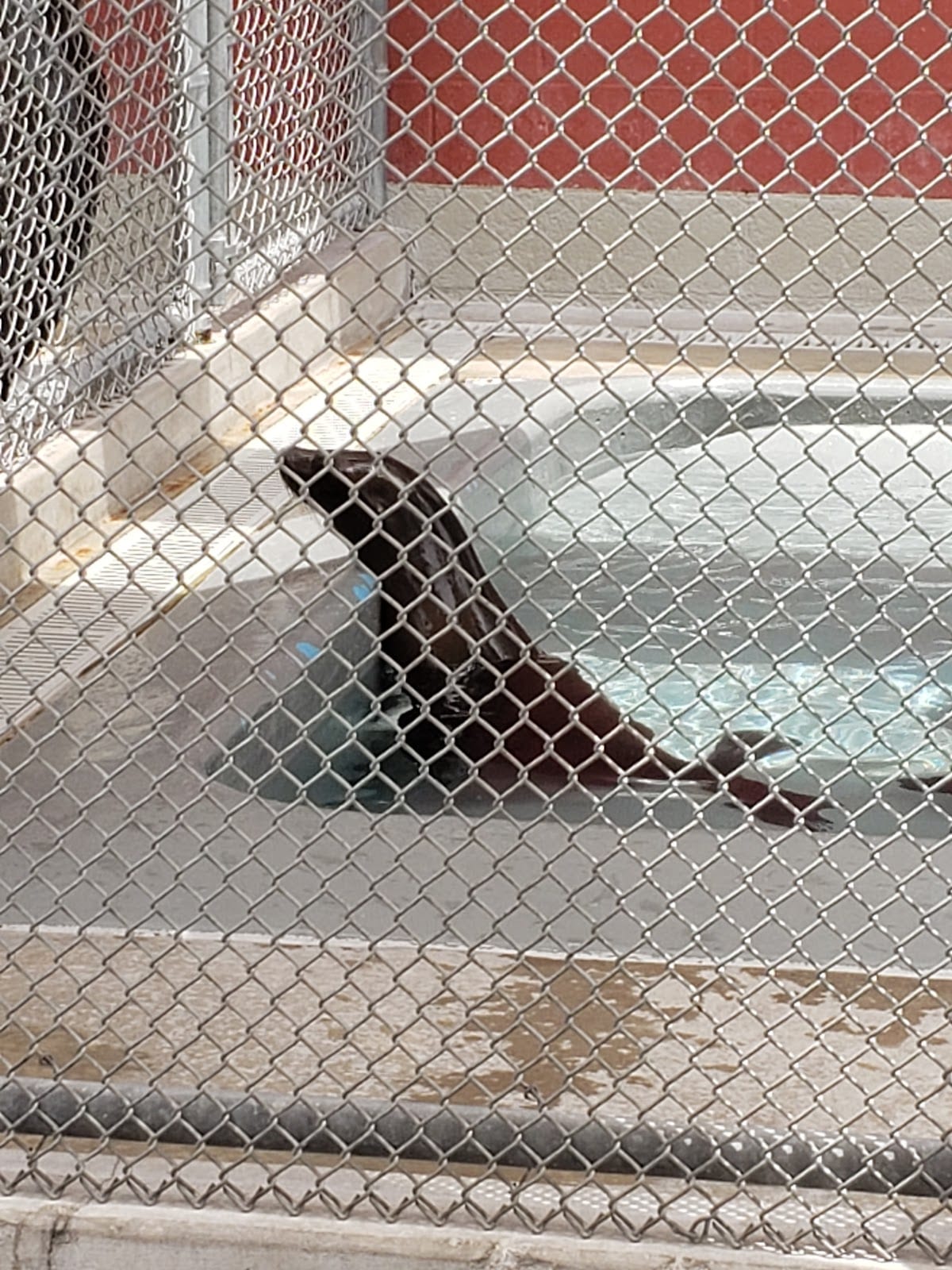 Pacific Marine Mammal Center