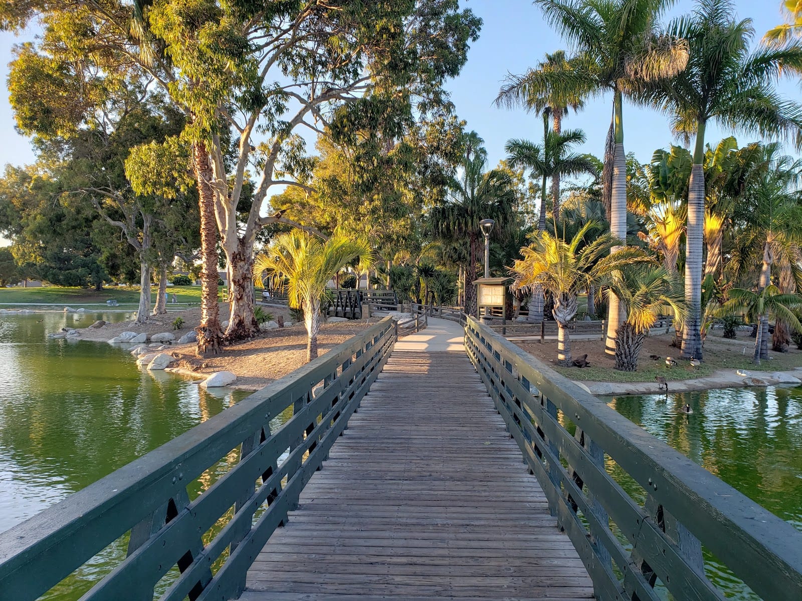 Palm Island | Mile Square Park