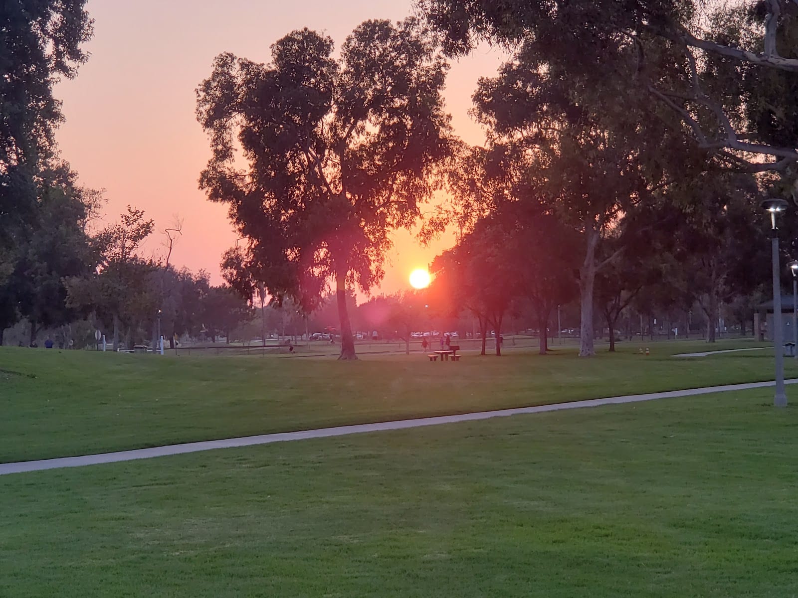 Palm Island | Mile Square Park