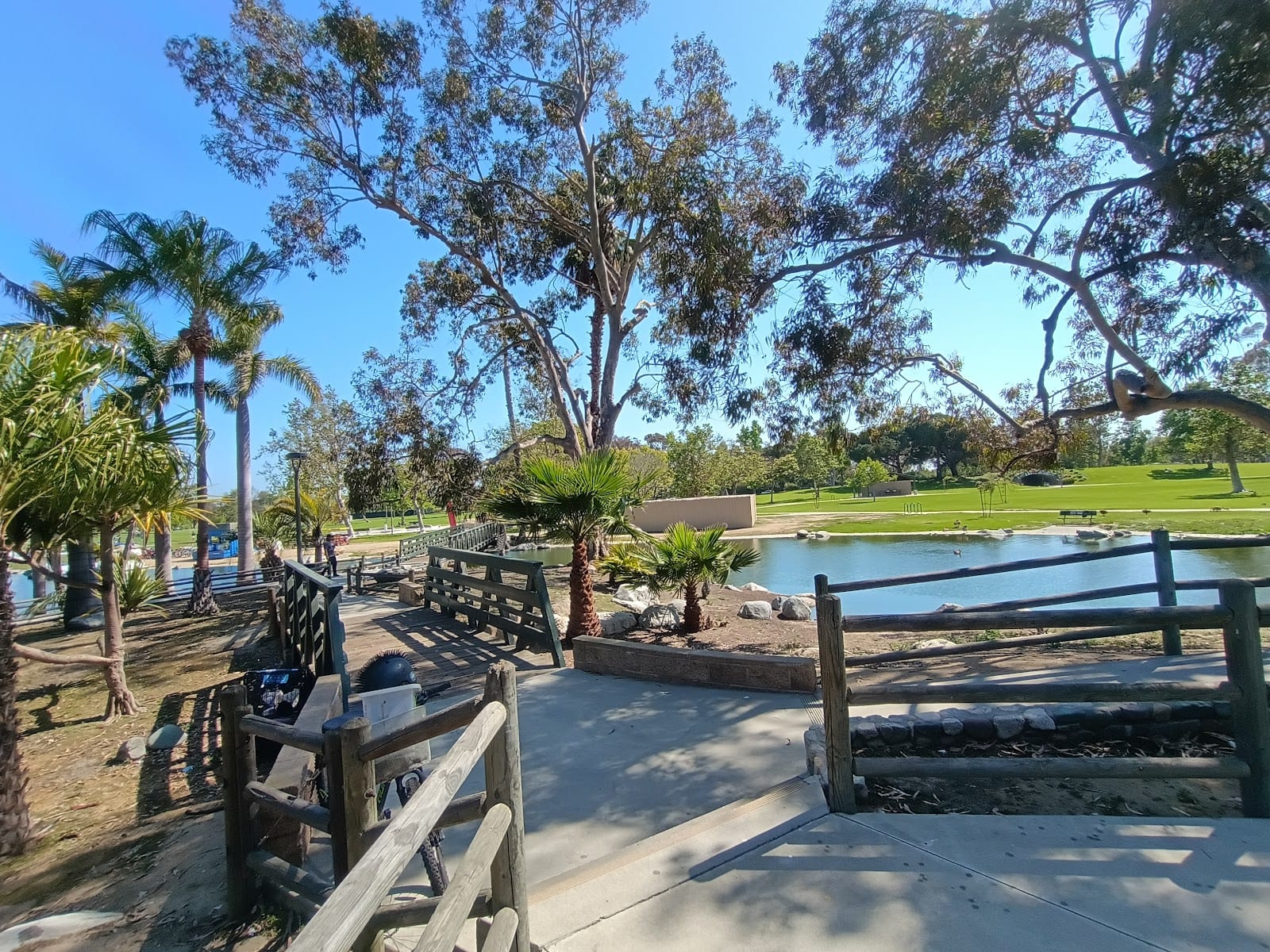 Palm Island | Mile Square Park