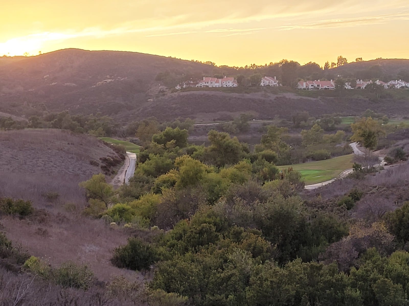 Quail Hill