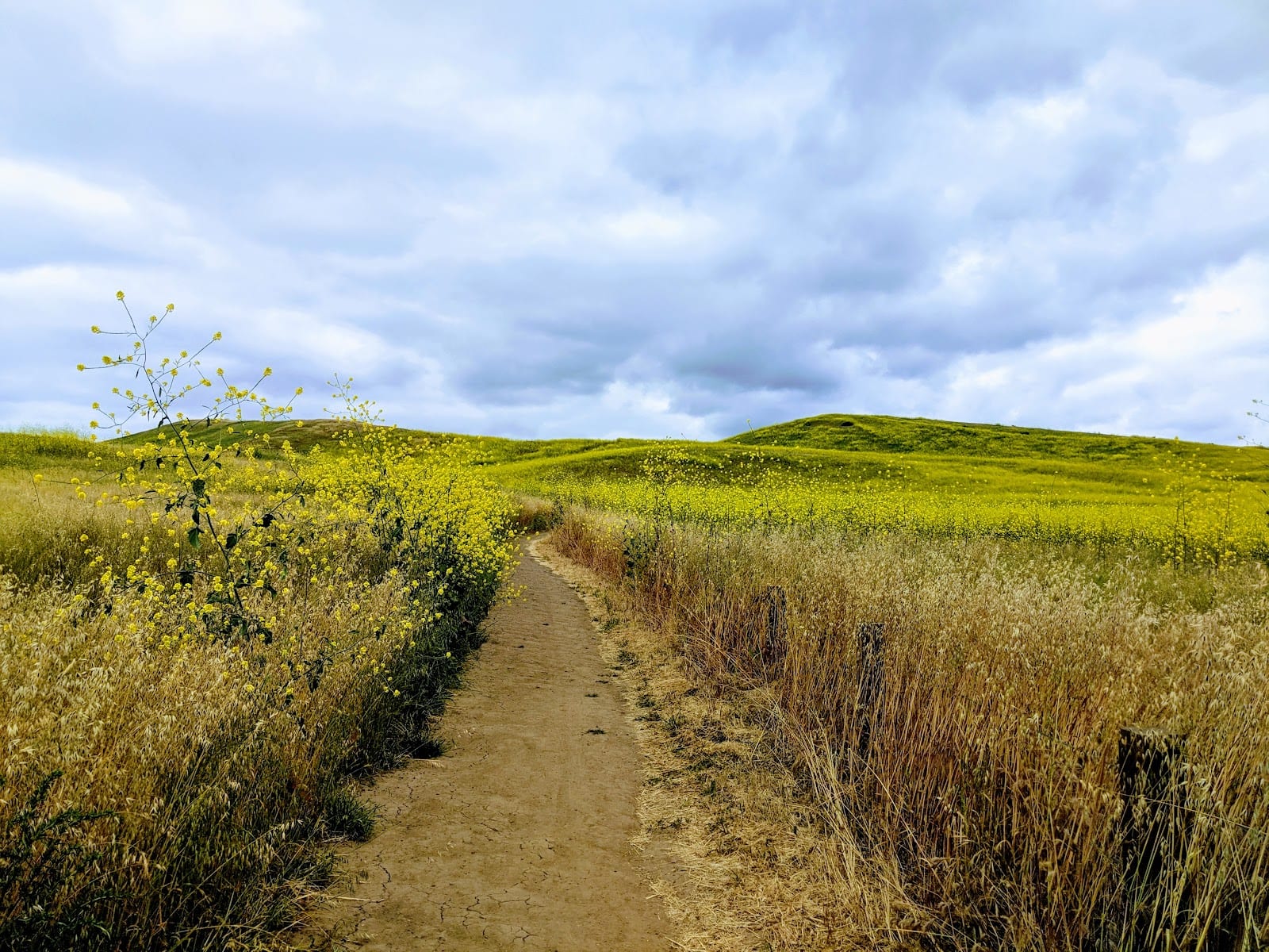 Quail Hill