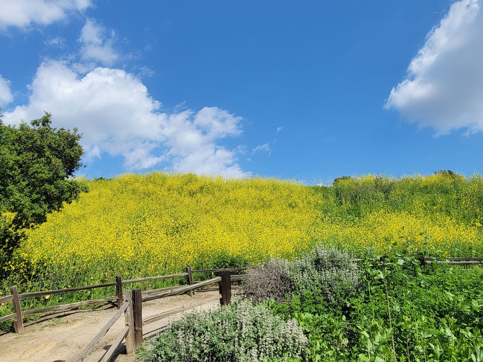 Ralph B Clark Regional Park