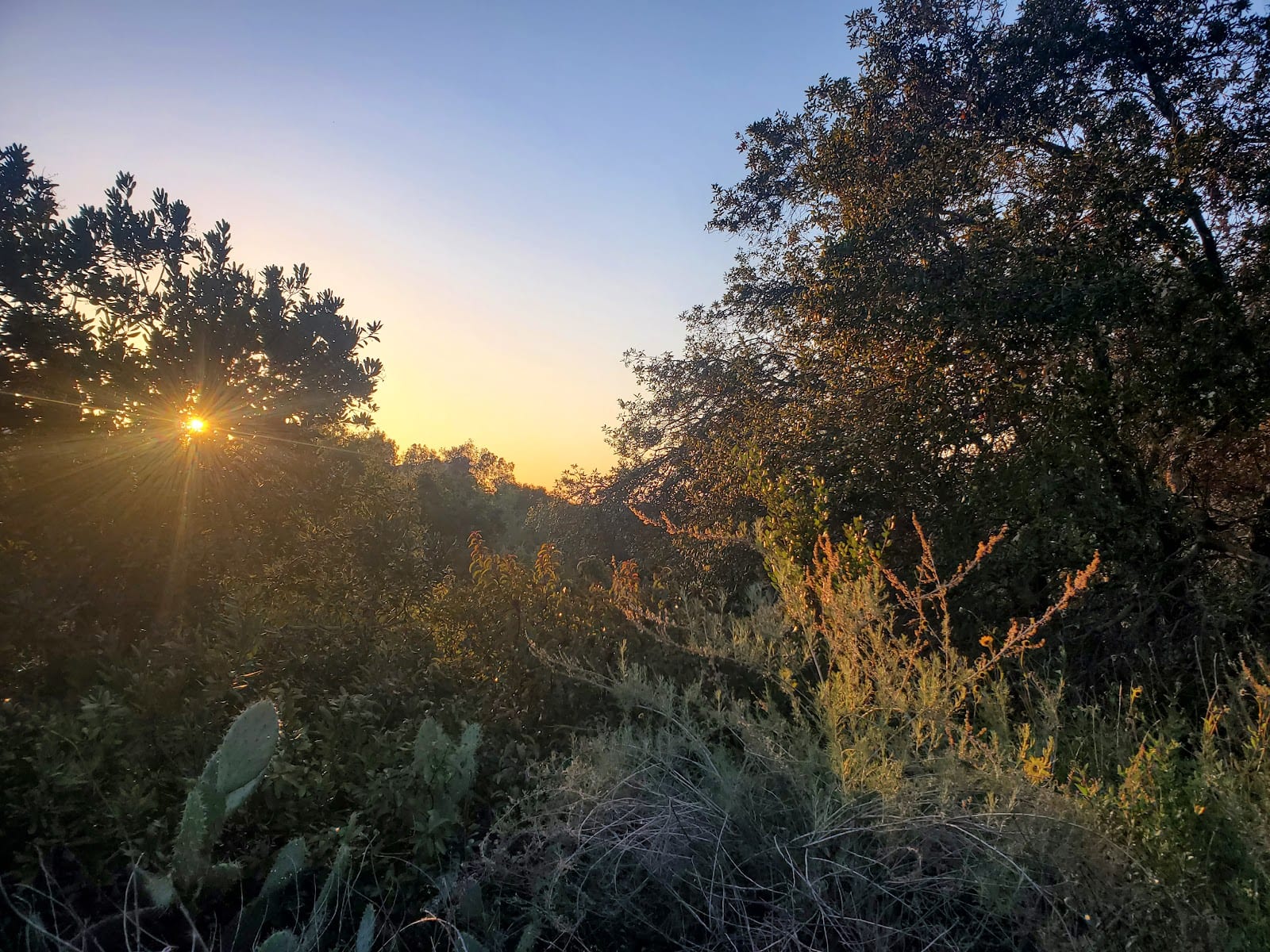 Ronald Reagan Park