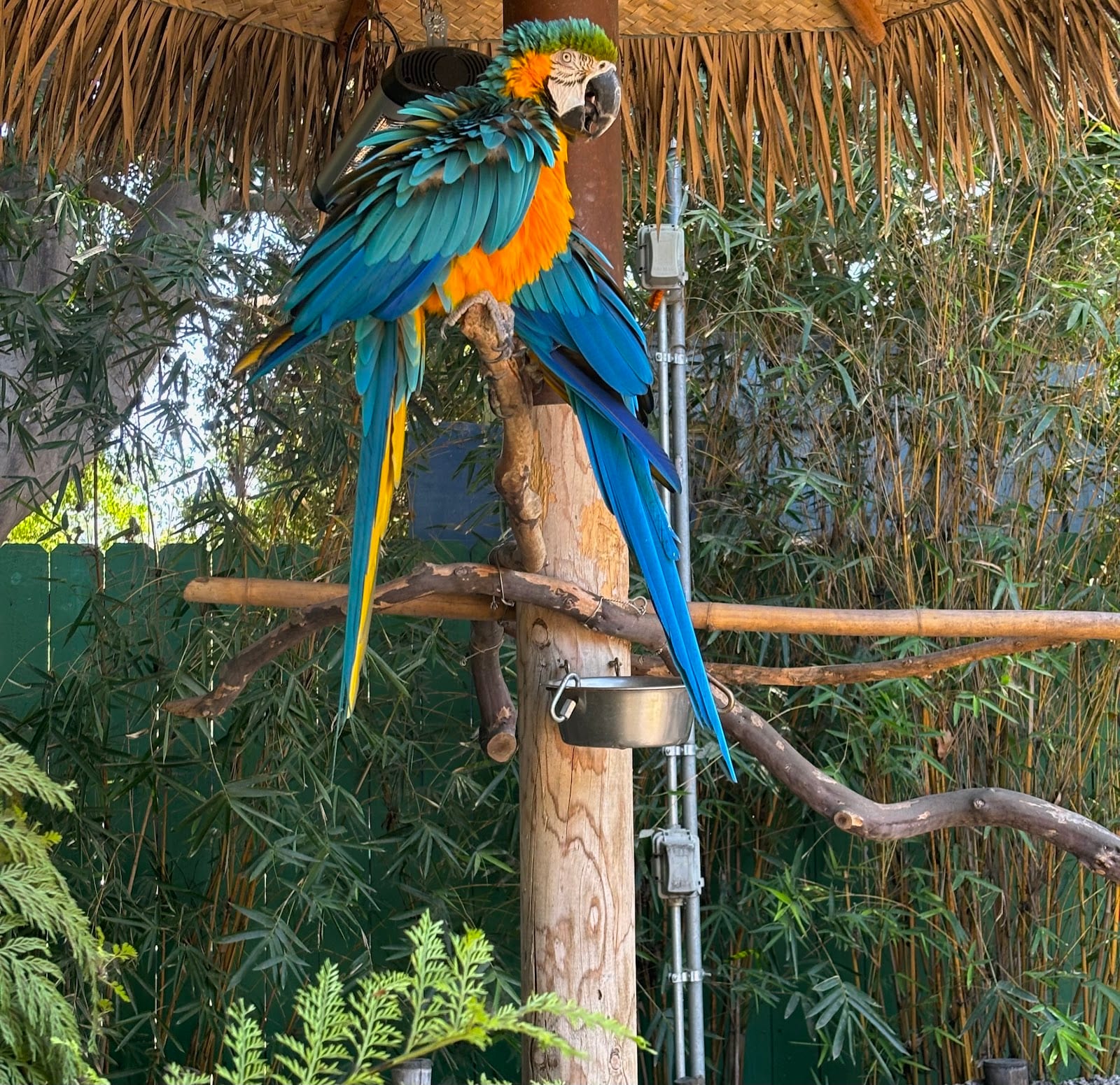 Santa Ana Zoo