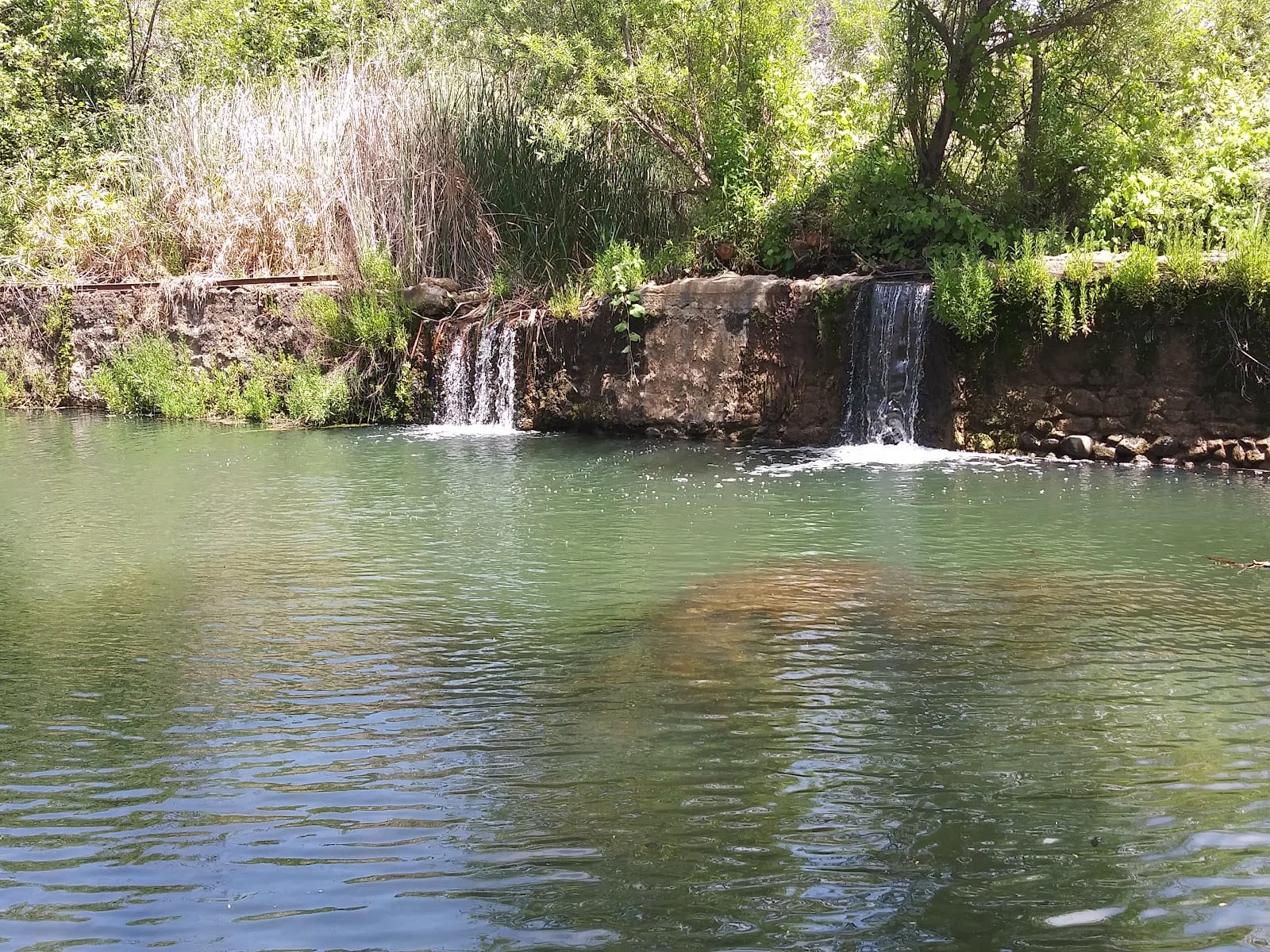 Santiago Oaks Regional Park