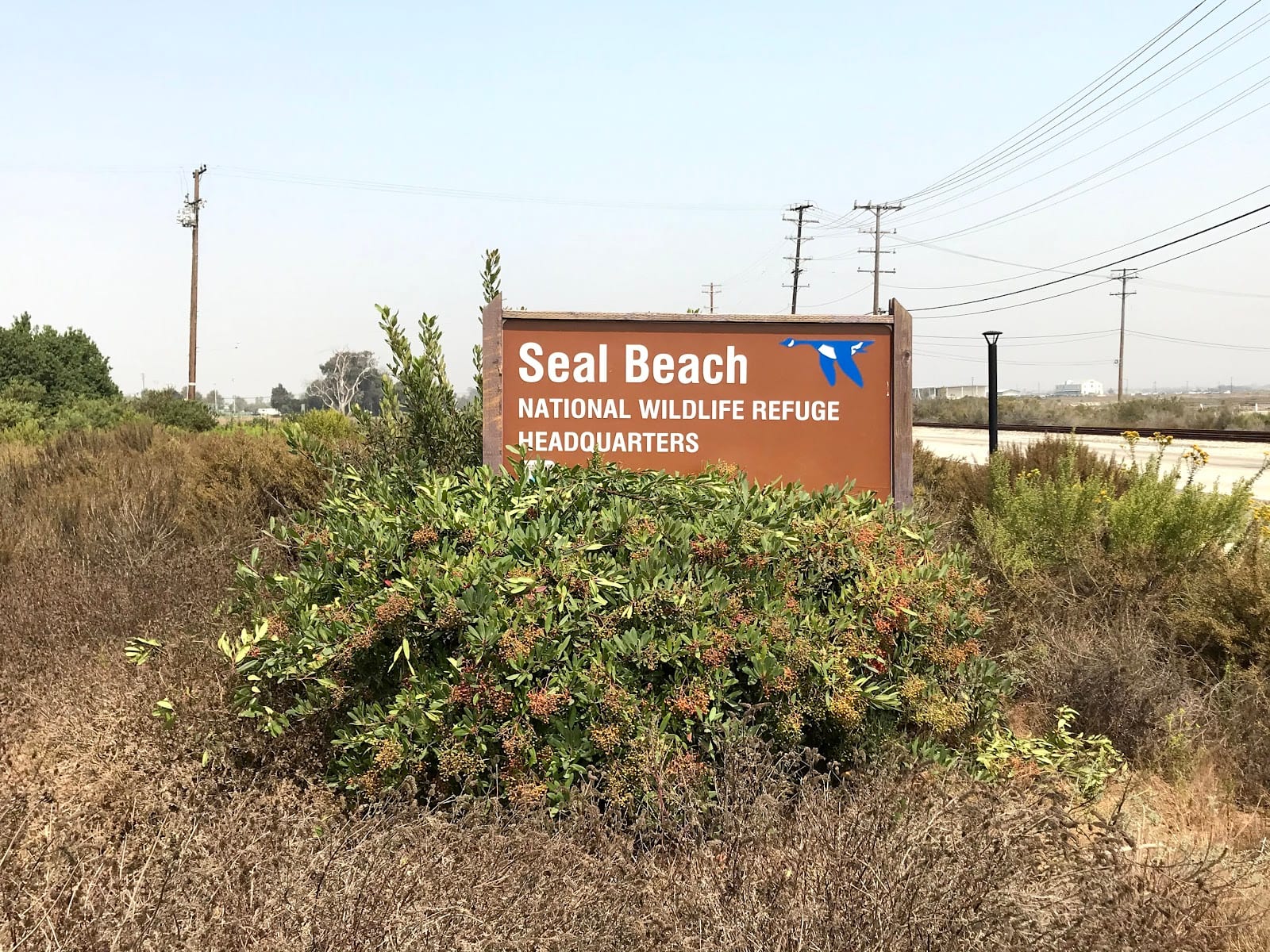 Seal Beach National Wildlife Refuge