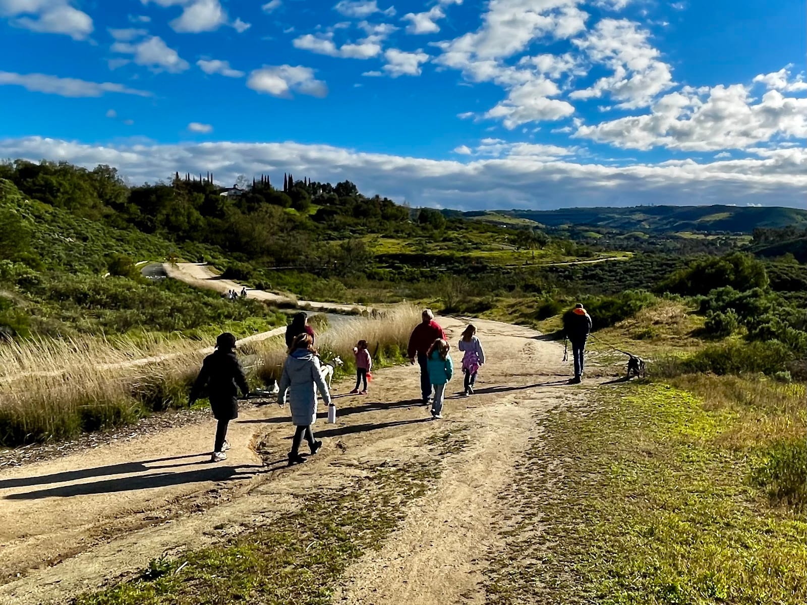 Shady Canyon Trail