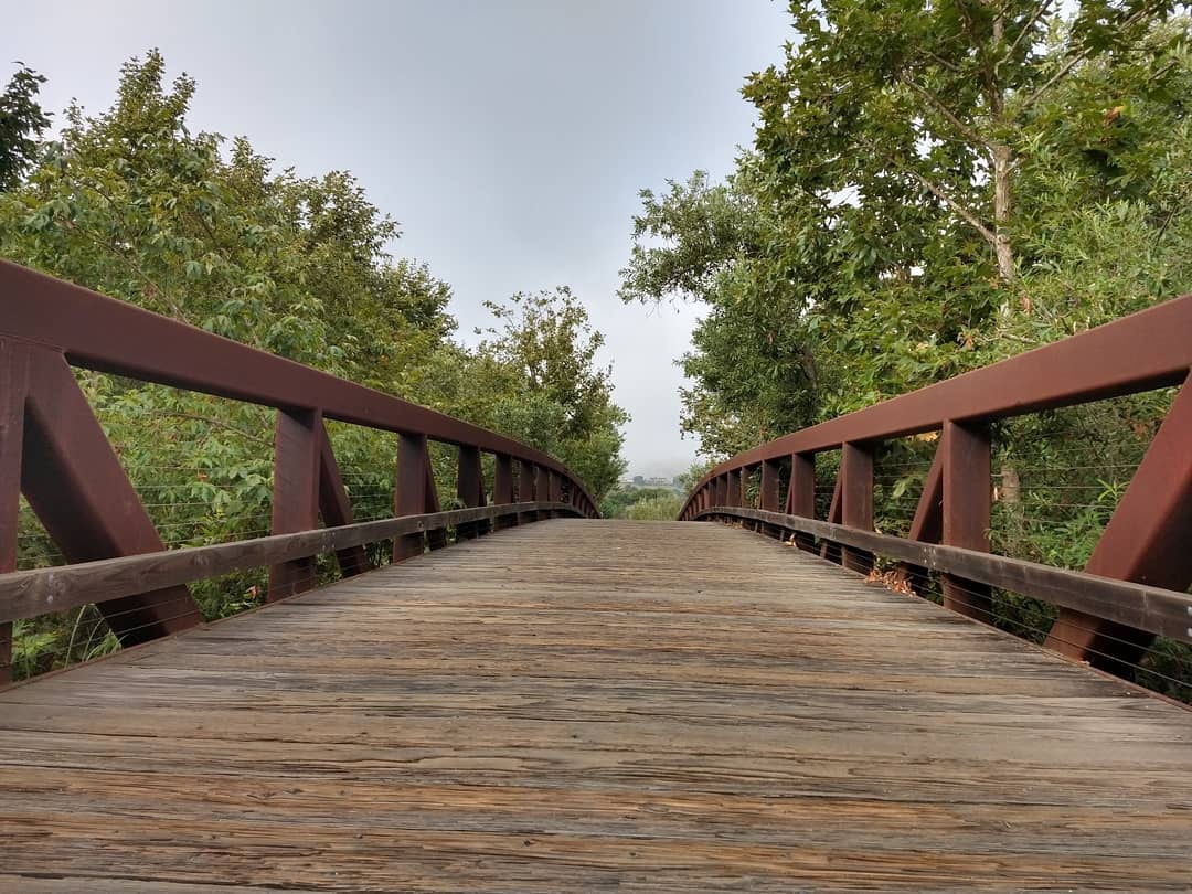Shady Canyon Trail