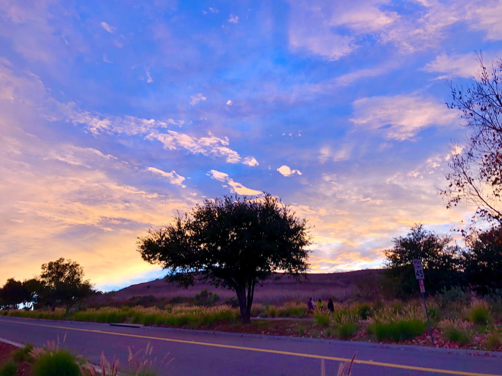 Shady Canyon Trail