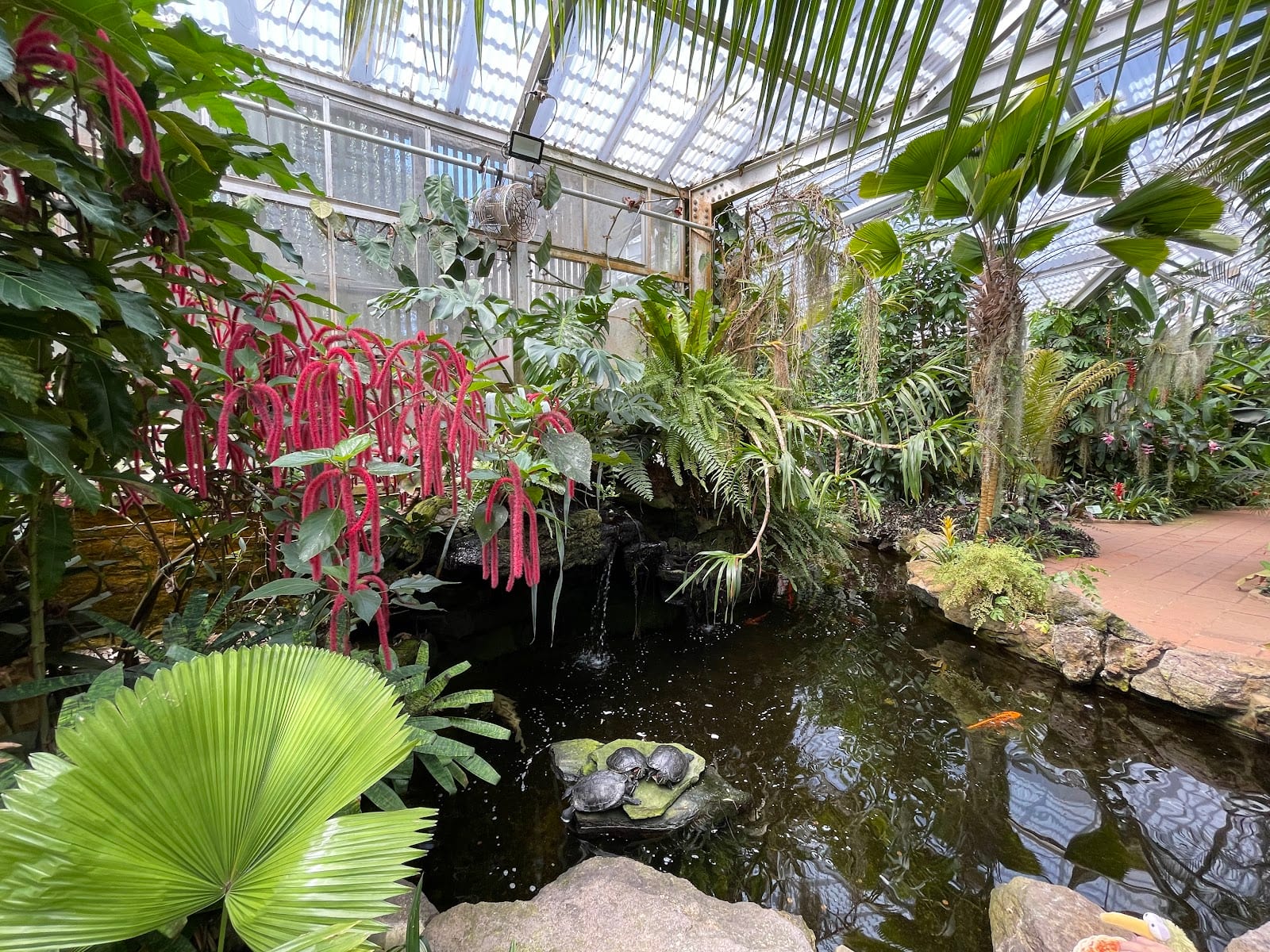 Sherman Library & Gardens