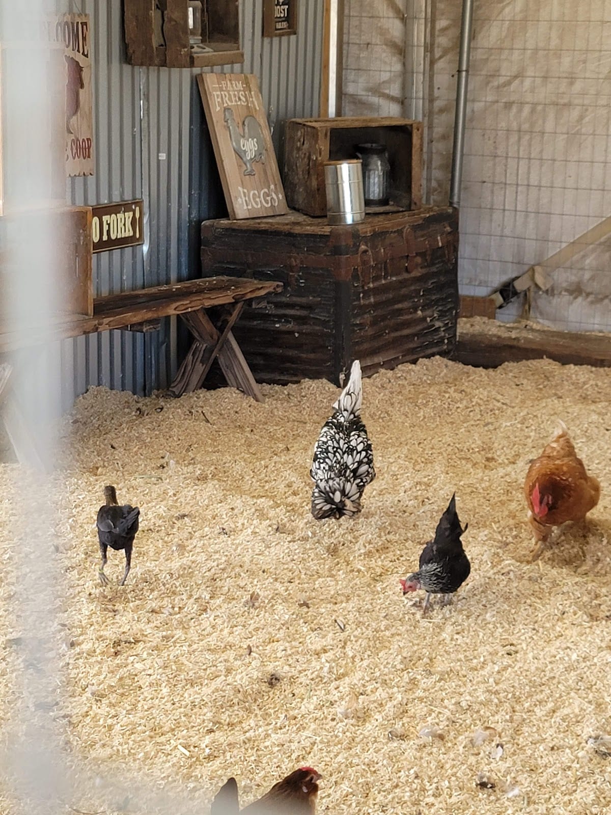 Tanaka Farms