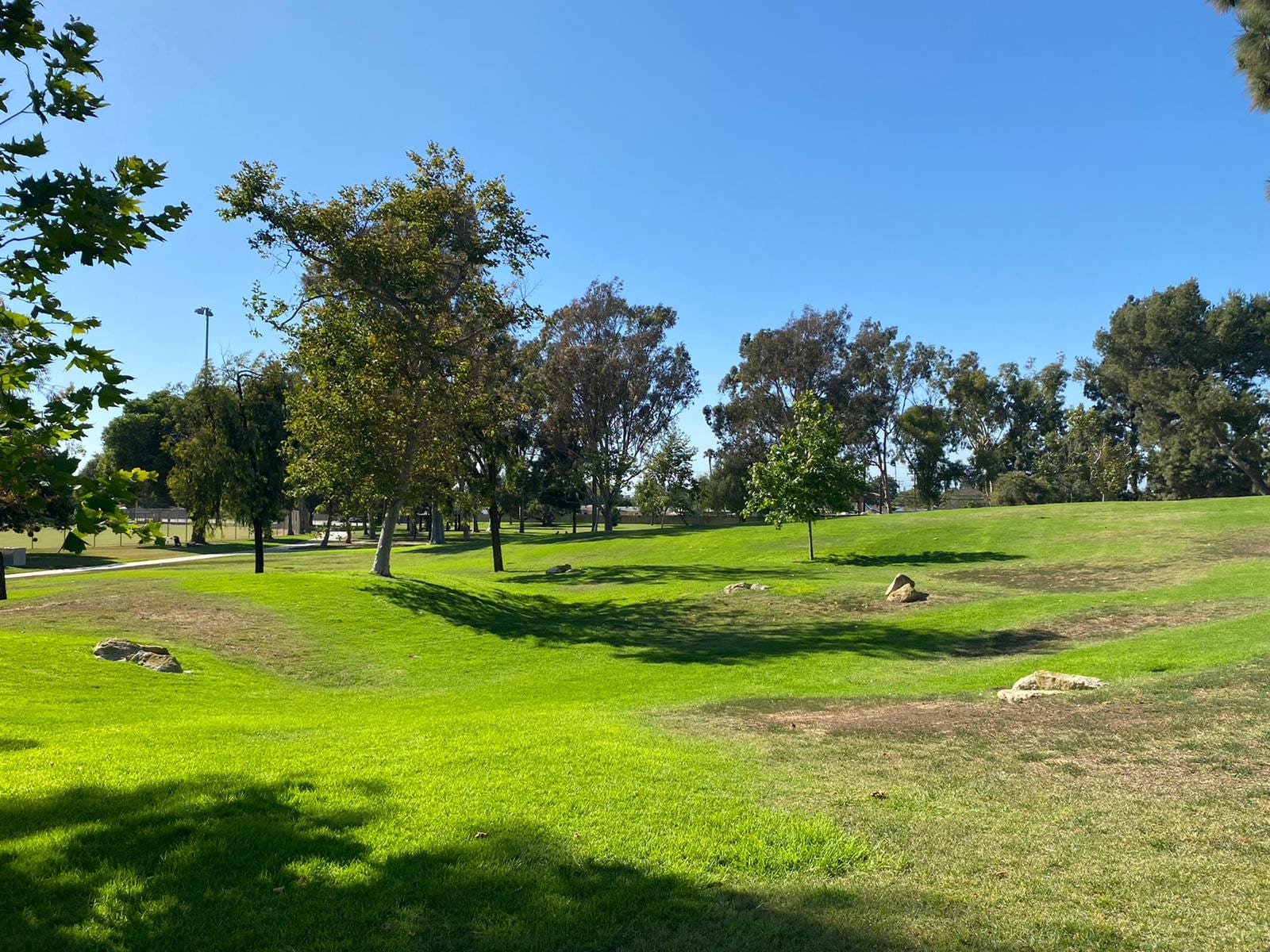 TeWinkle Park