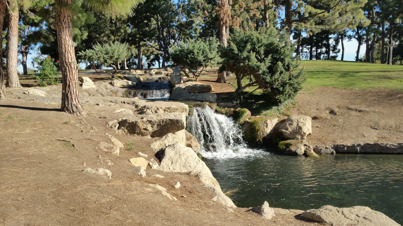 TeWinkle Park